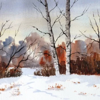 Birches in Snow, Princes Woods mod sml Birches in Snow, Princes Woods mod sml