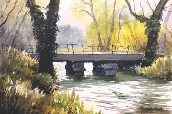 Stone Bridge, Penrose Burden, Cornwall by Colin Steed