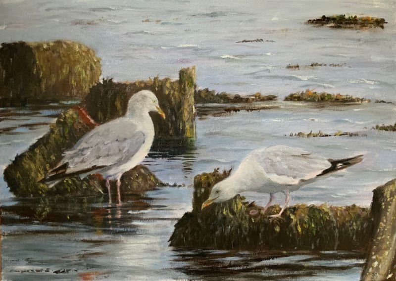 Fig. 7 ‘Gulls at Middlehaven’ water mixable oil on canvas panel 10x14 inches