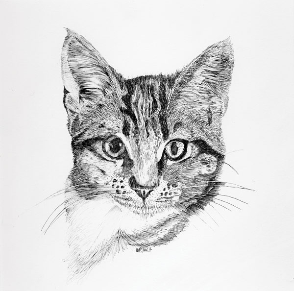 Pen drawing animals hotsell