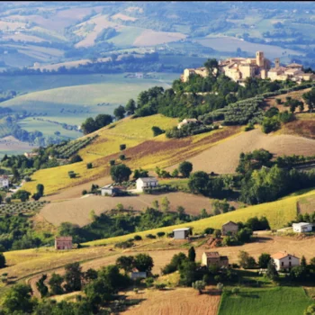 Le Marche Le Marche