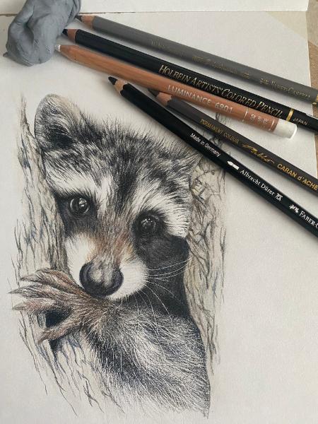 Photo 3 - hemp paper