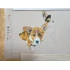 Puppies Julu 14th Puppies Julu 14th