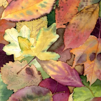 Sarah Colgate Watercolour Sarah Colgate Watercolour