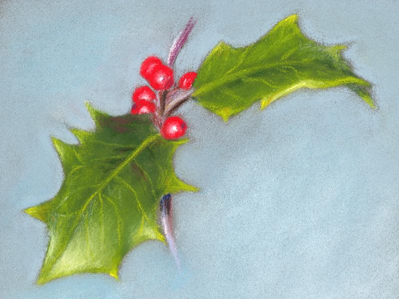 Stage 6 - Caran Dache Pastel Pencils Demo - Naomi Jenkin