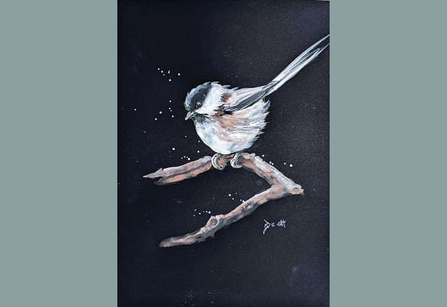 Studio email graphics-High-Quality