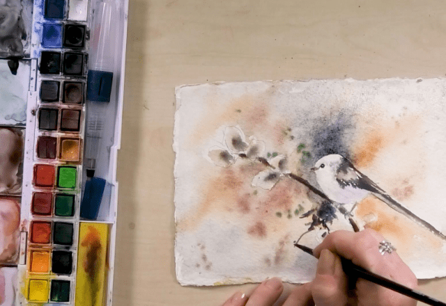 Studio email graphics (3)