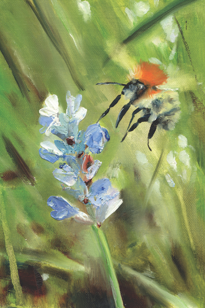 Time is Honey, oil on paper, 9x6in (23x15cm)