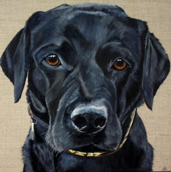 How to paint a black Labrador with Andrea Abraham