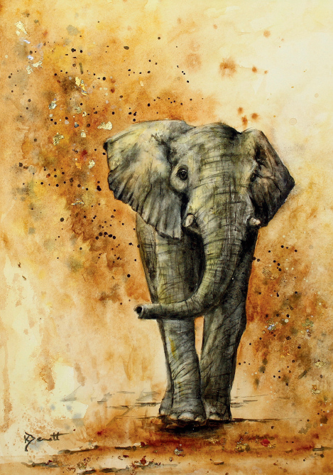 Watercolor elephant orders painting