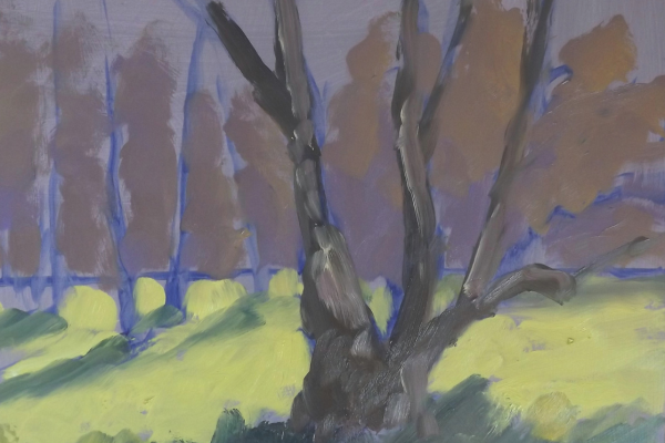 Melanie Cambridge step 3