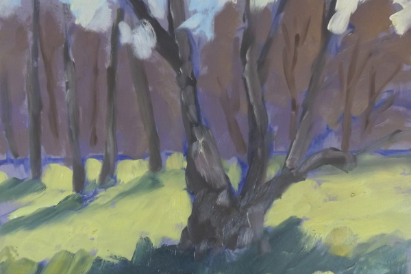 Melanie Cambridge step 4