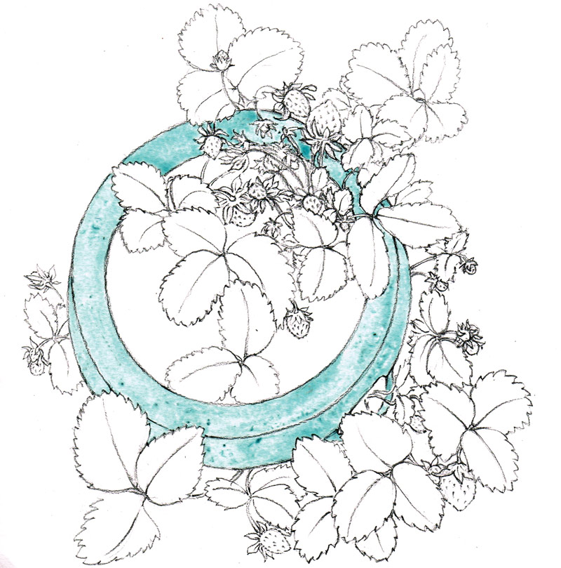 How to paint strawberries in watercolour