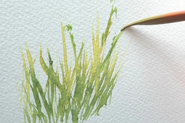 Easy Scimitar grasses