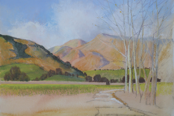 Step 4 using Sennelier Oil Pastels