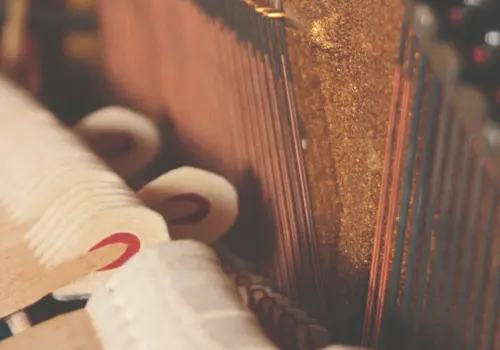 6-4-x-3-26811.jpg 6-4-x-3-26811.jpg