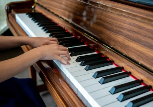 How to identify woodworms in a piano How to identify woodworms in a piano