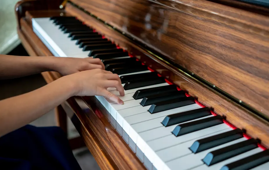 How to identify woodworms in a piano How to identify woodworms in a piano