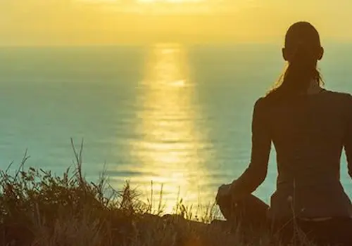 PIATESTJAN-91732.png PIATESTJAN-91732.png