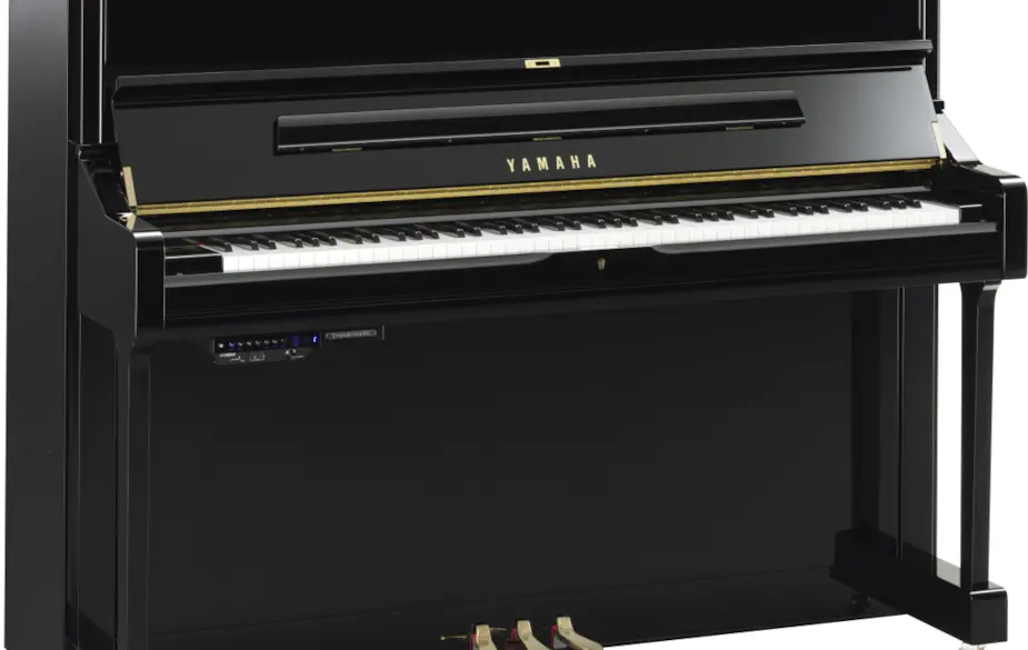 Trans-45563.jpeg Trans-45563.jpeg