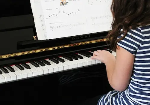 z_piano-unused-29-37743.jpg z_piano-unused-29-37743.jpg