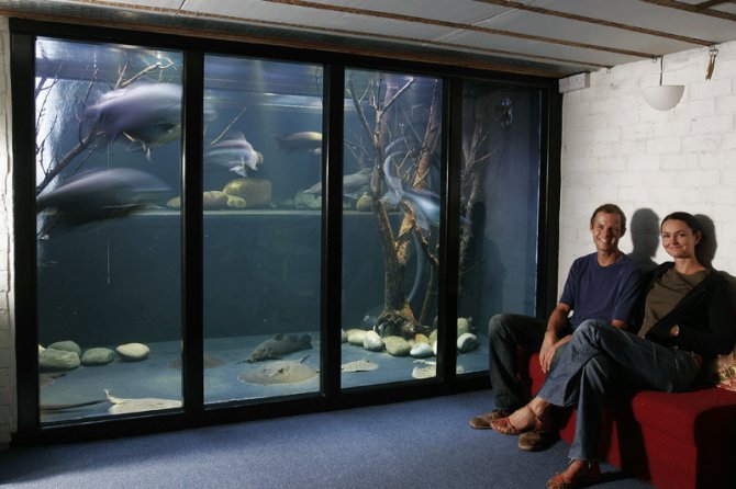 giant fish tank
