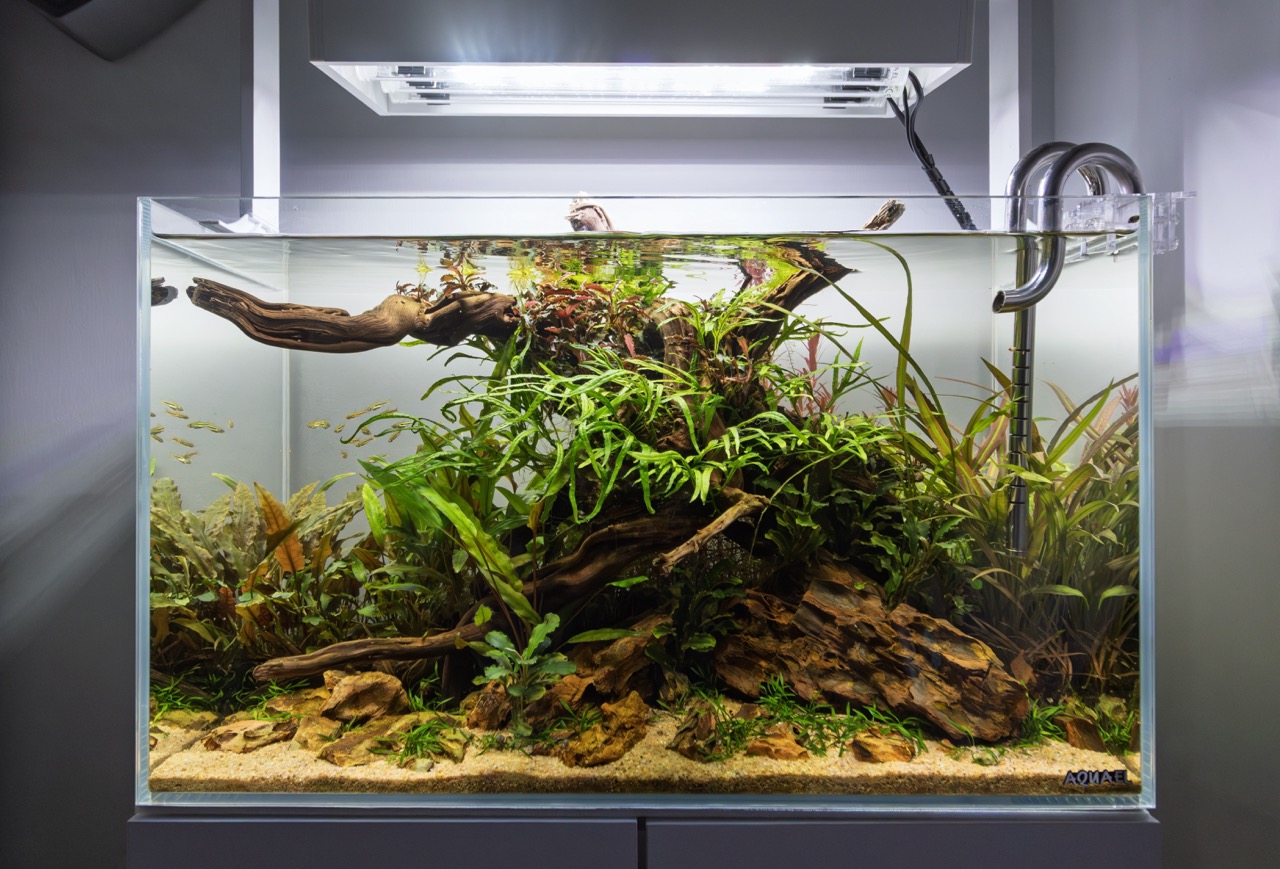 ADA NATURE AQUARIUM CUBE GARDEN 45×27×30 ADA - Cube Garden - 45-P - 45 × 27 × 30 cm | Aquasabi