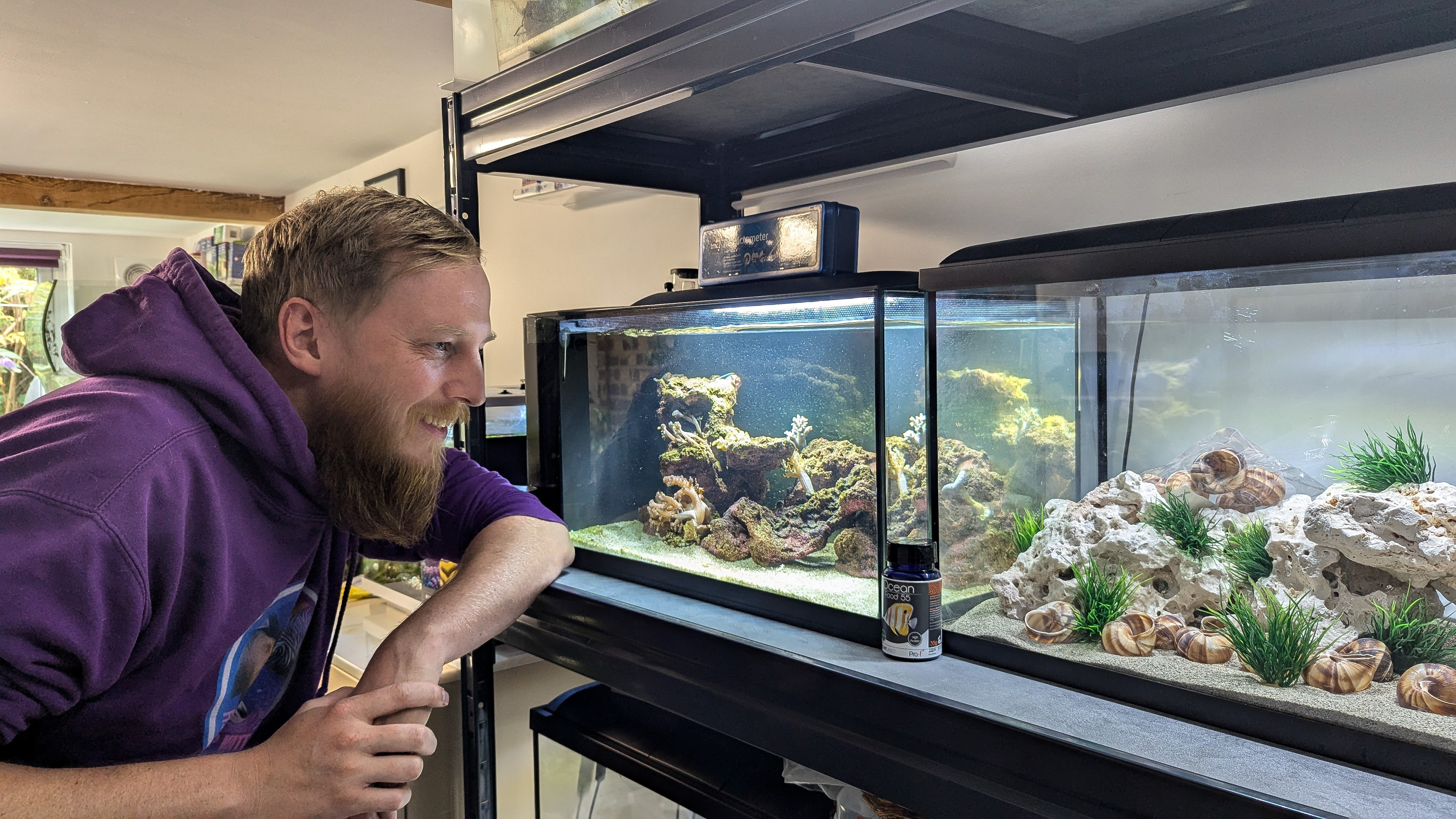 Fish Tank Setup for Egg-Layers: Ultimate Guide for Perfect Spawning