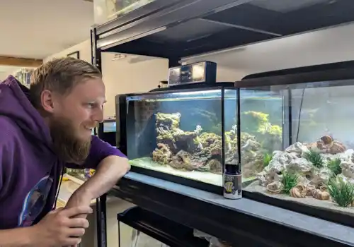 Fish Tank Setup for Egg-Layers: Ultimate Guide for Perfect Spawning