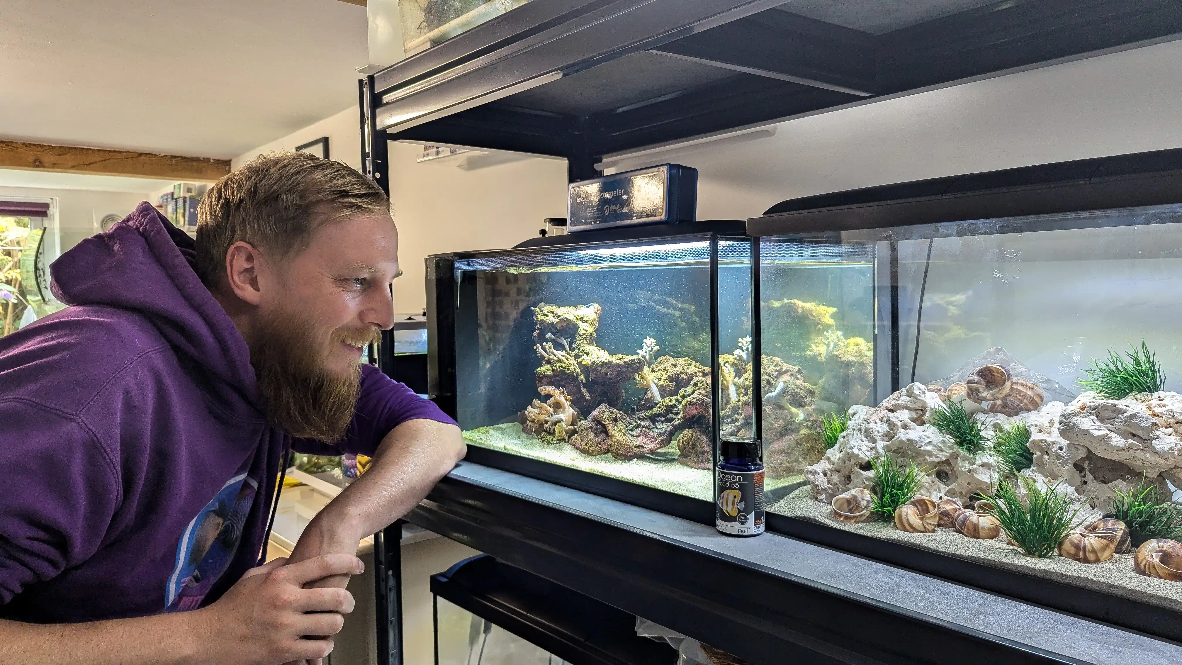 Saltwater Aquarium for Keeping Fish And Coral: Ultimate Care Guide