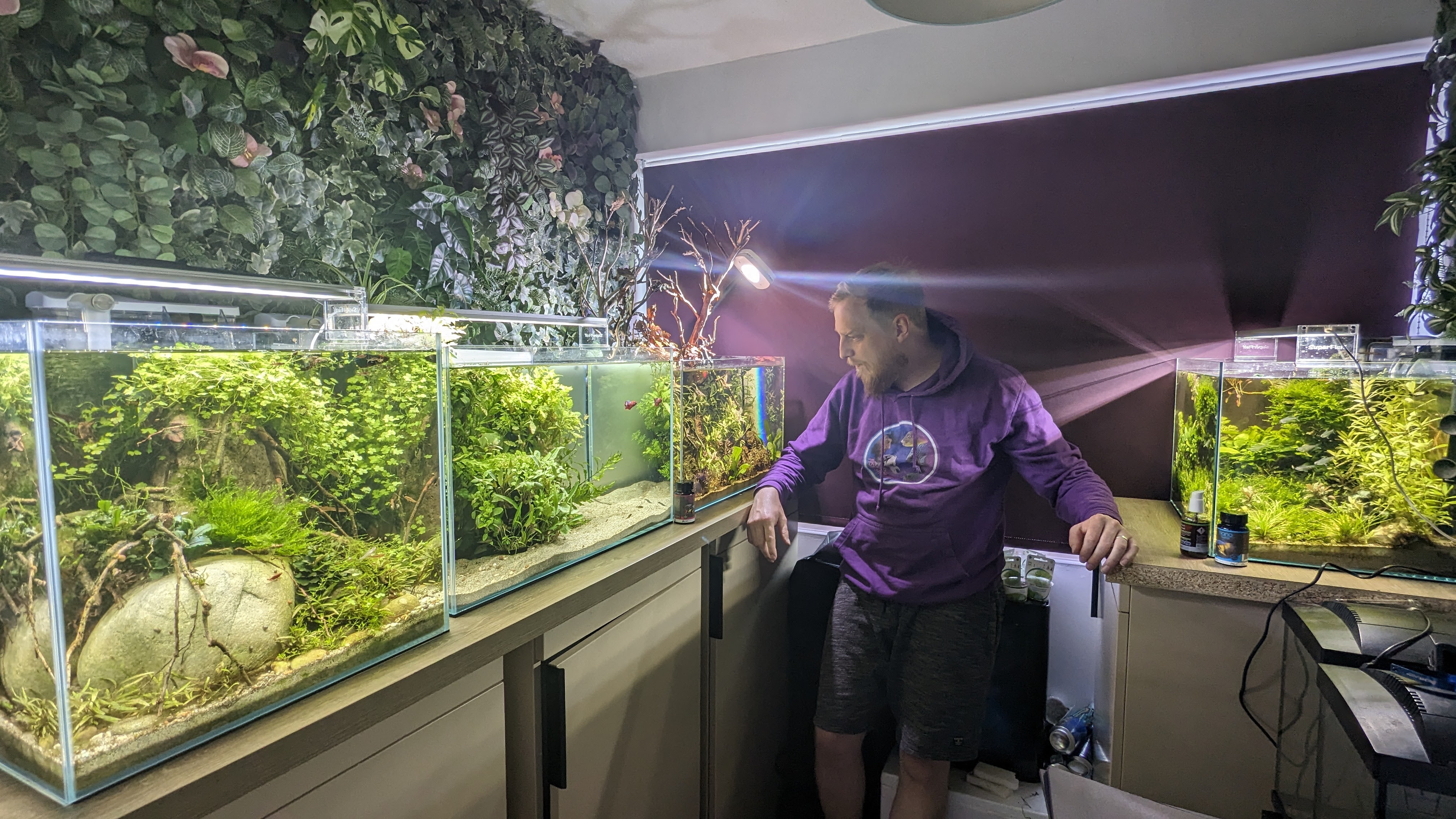 Fishkeeping questions commonly asked in fish stores - Practical Fishkeeping