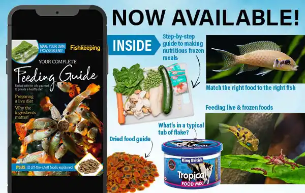 Troubleshooting Common Problems