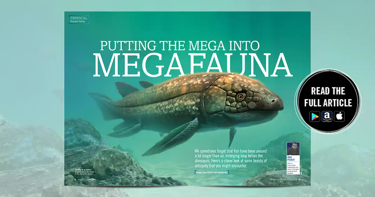 Putting the mega into - Practical Fishkeeping