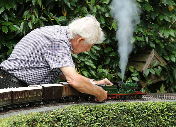 Bachmann garden trains online