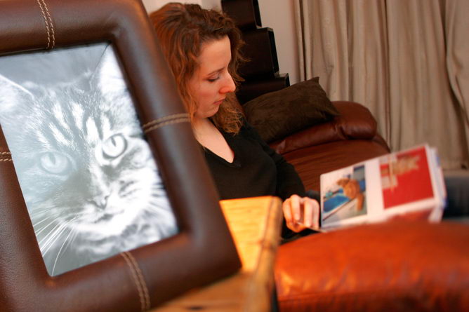 how-to-cope-with-the-death-of-a-cat