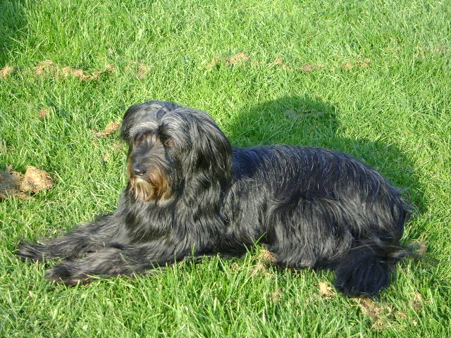 Molly Aka Morpheus - Molly 