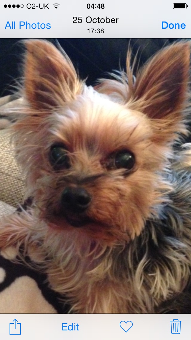 Rupert - Phyllis Wilson