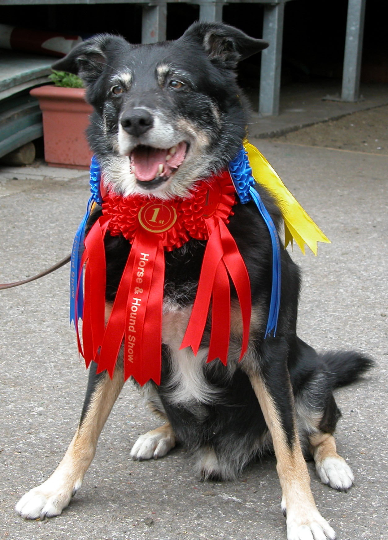 Maly - unknown unknown