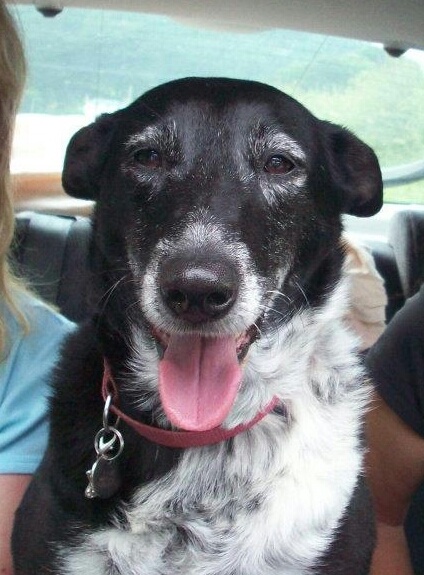 Portia - Mary Flavell