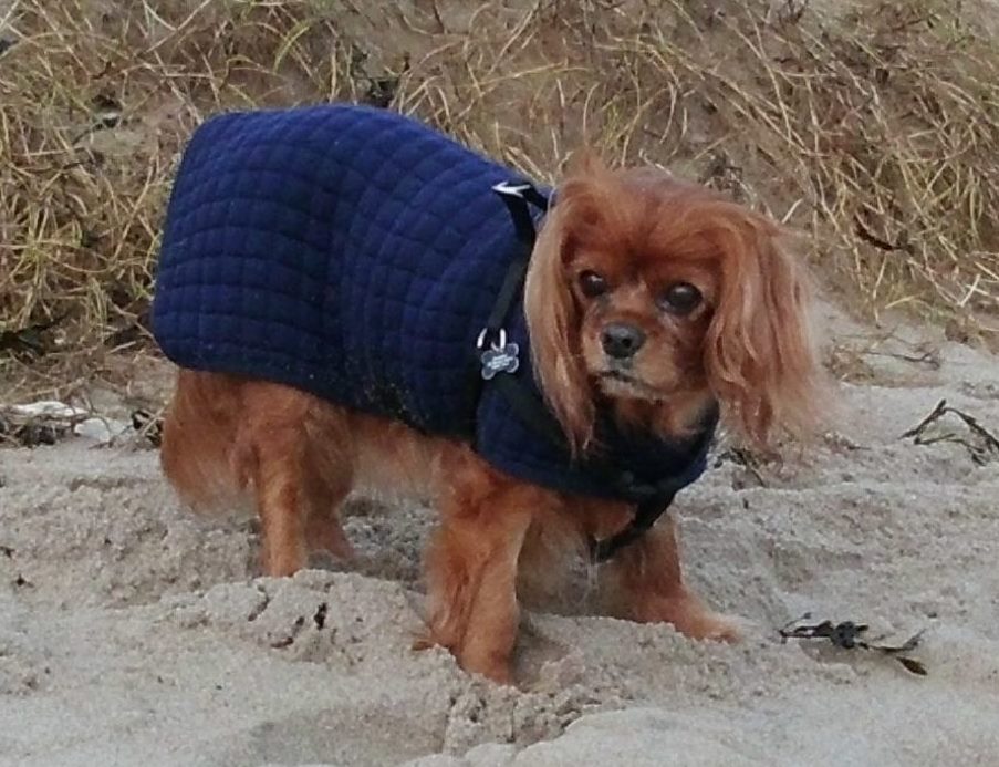 Sophie Mia - Margarita Kennedy