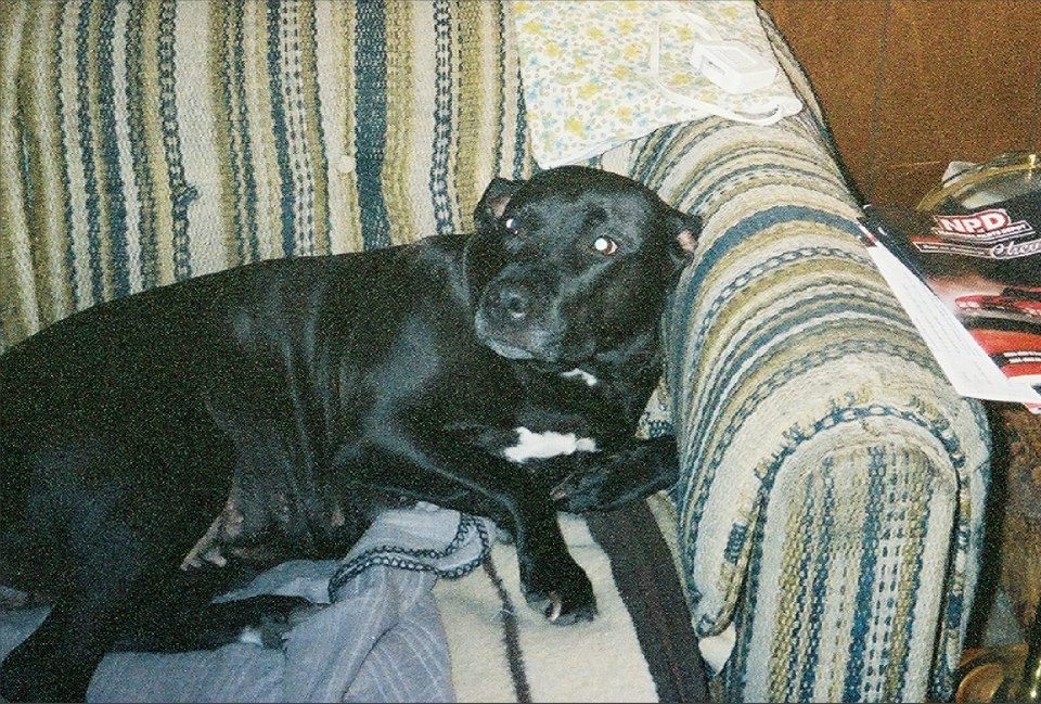 Tigger - Alyssa Davis