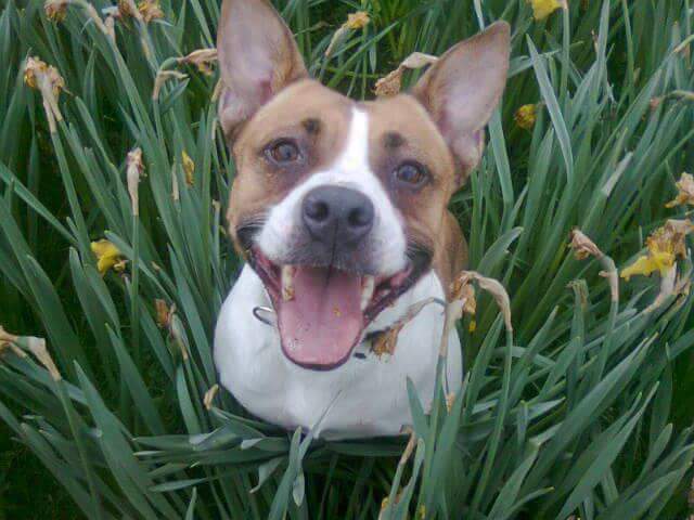 Lucy - Beverley Kirwin