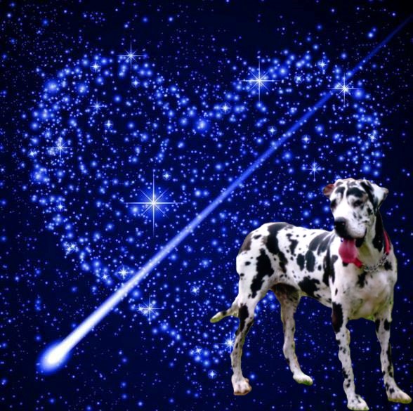 Taz - Veronica Baldwin