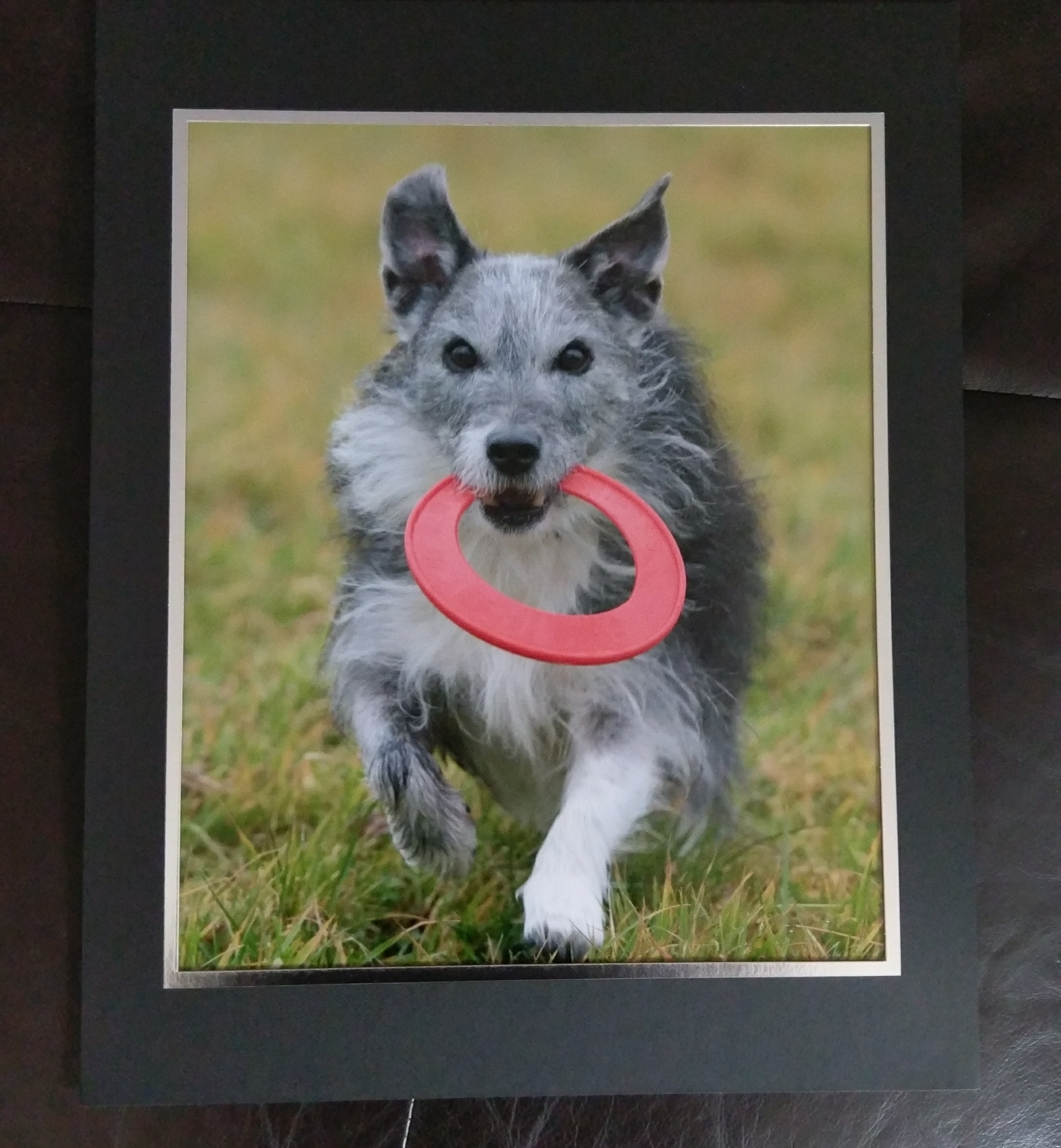 Bronson - Helen Spellman