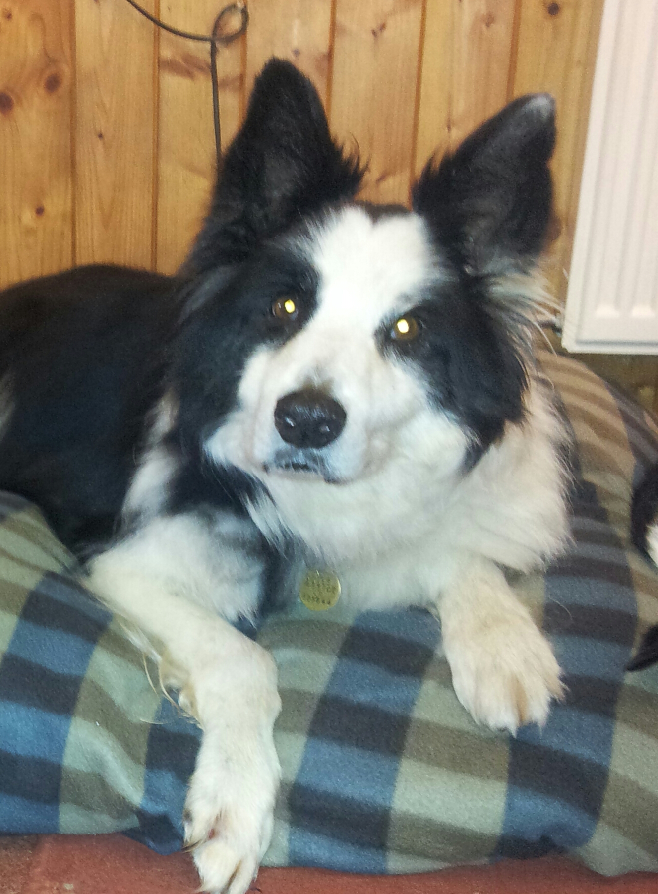 Oliver - Stephanie And Ken Barrett