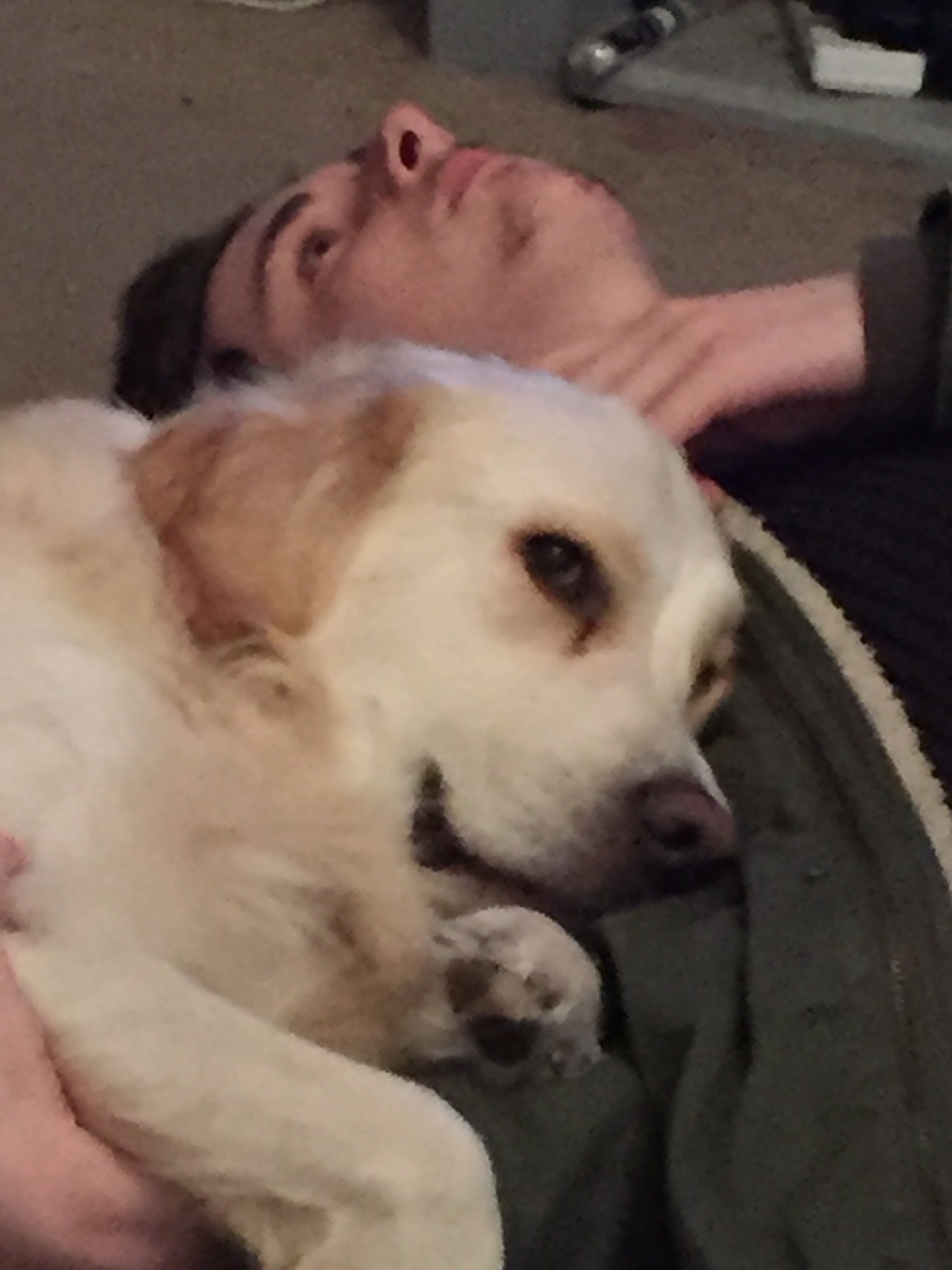 Chester - Amanda Legal