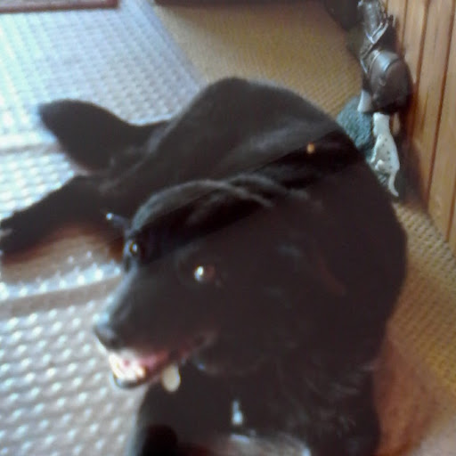 Molly - Irene Brammer