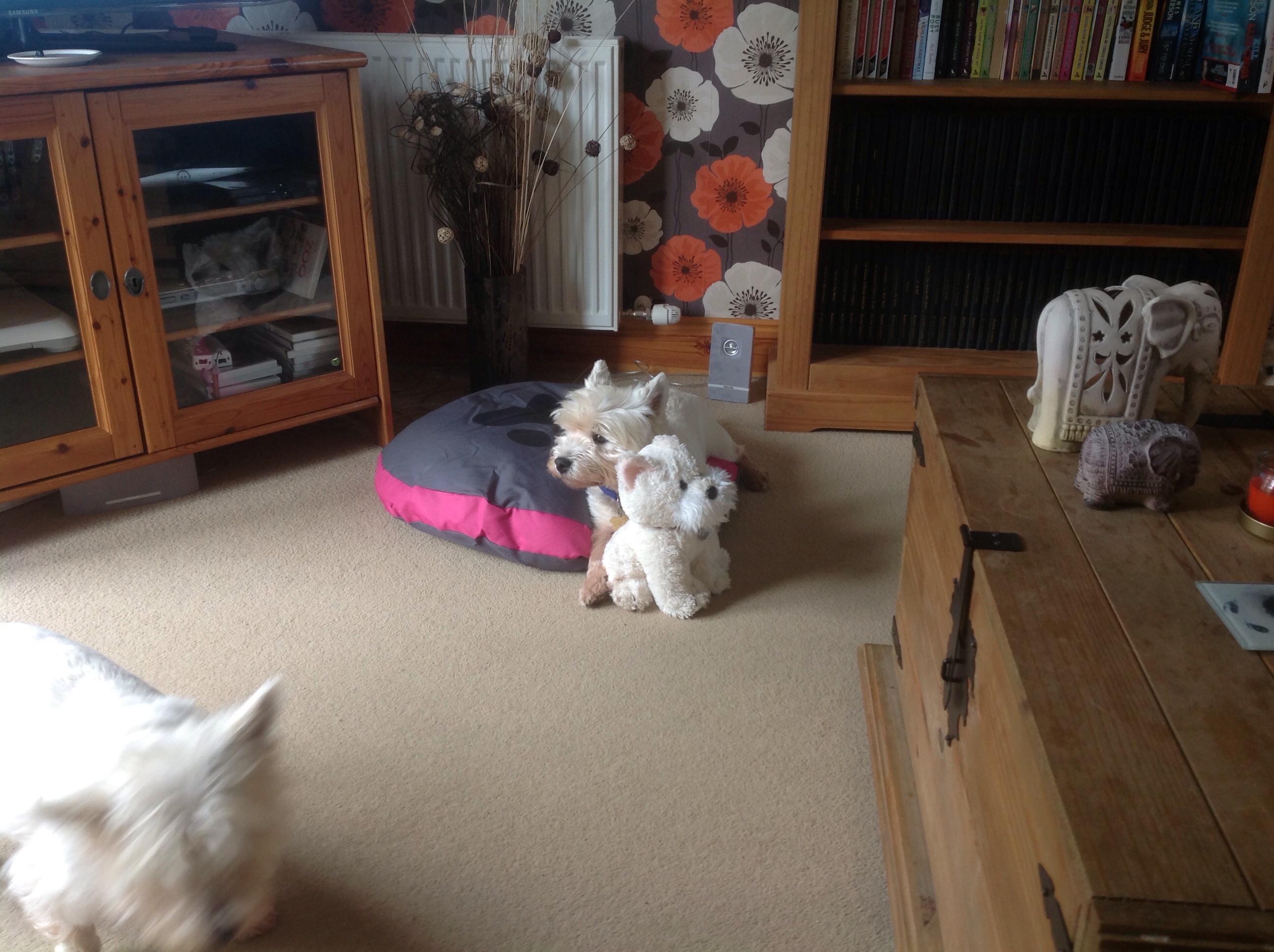 Macbeth - Michelle Elwell