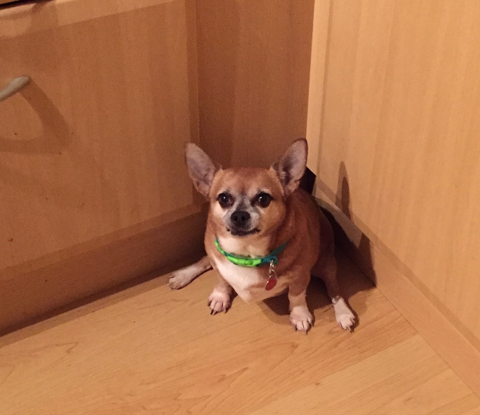 Jay-jay - Cherry Jackson