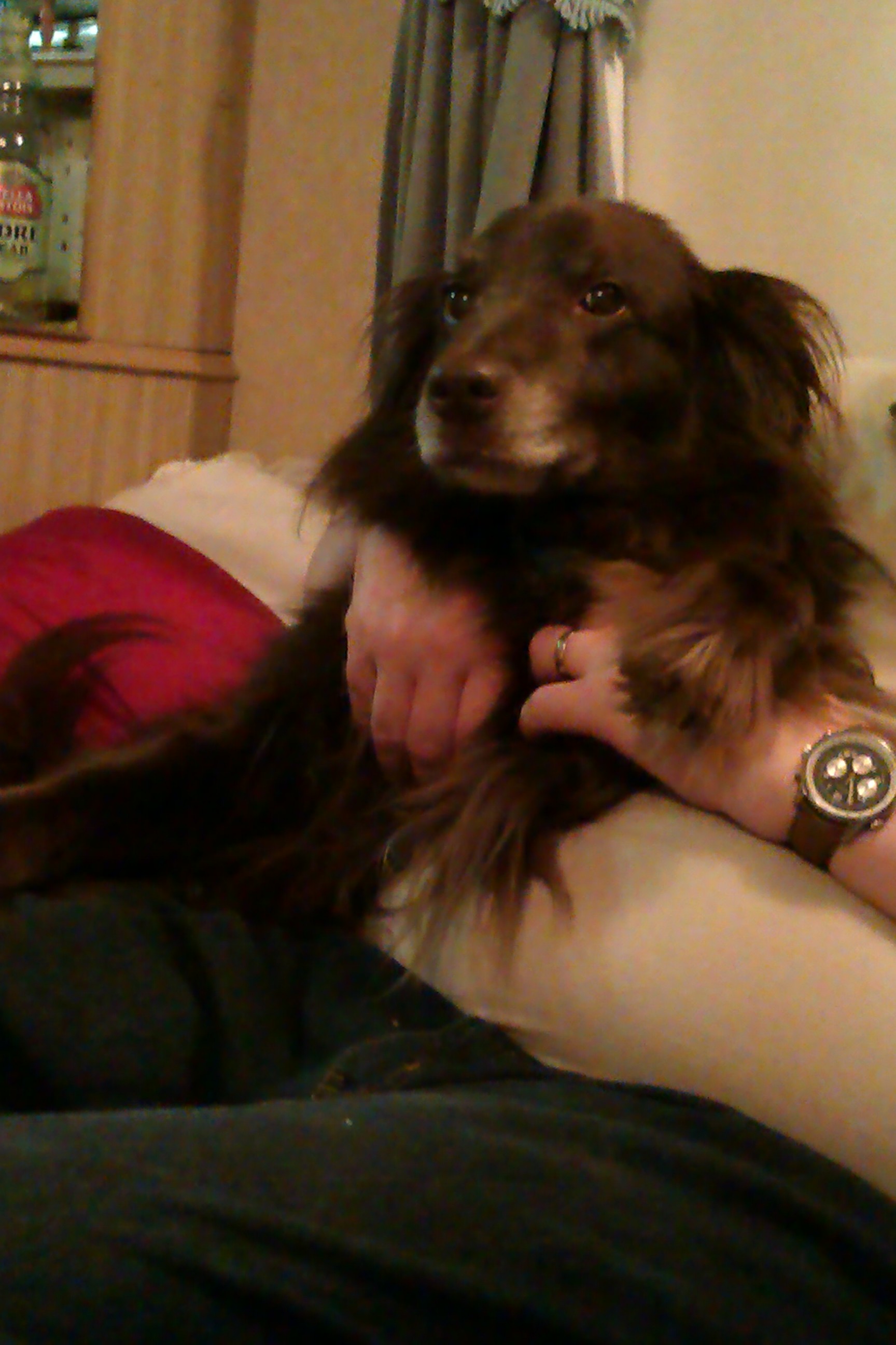 Copper - Lea Sapsford